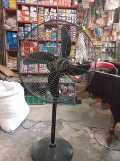 pedester fan best for home use