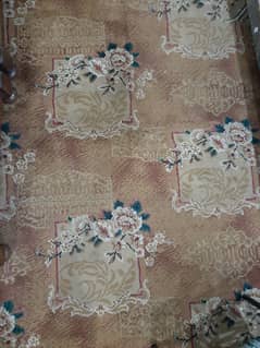 Foaming Carpet