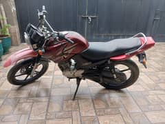 YBR 125