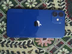 iPhone12mini