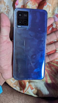vivo