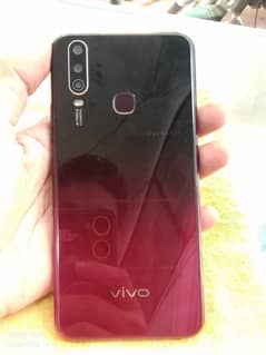 Vivo