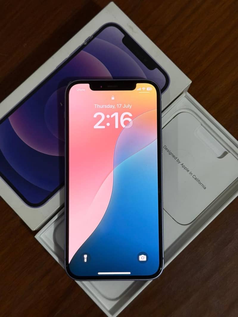 iPhone 12 Non PTA Factory Unlock 10