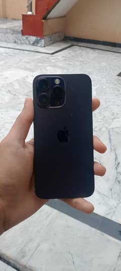 14 pro max