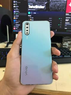 vivo
