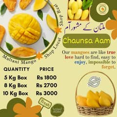 Fresh Multani Chaunsa (Premium Export Quality)