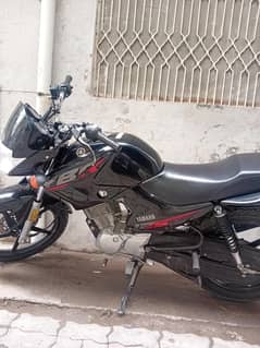 Yamaha