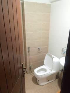 2 BEDS DRAWING DINING FLAT