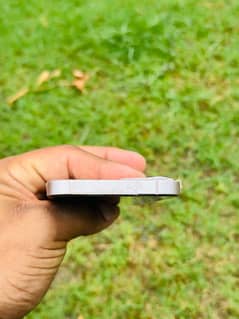 iPhone13