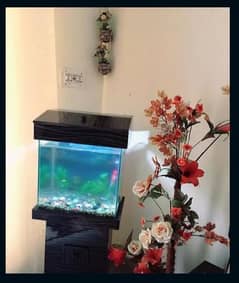 Aquarium