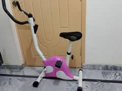Exercise cycle