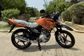 Yamaha YBR-G 125 2024 Model ( Special Edition)