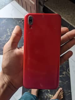 vivo