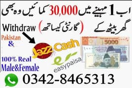 Typing job / Data Entry Job / Assignment Job / Online Job / Part Time