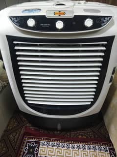 1 full size cooler