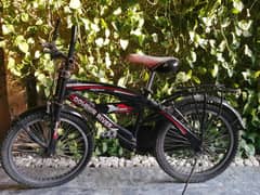 Bicycle