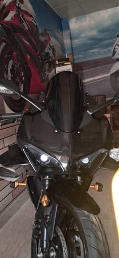 Kawasaki Ninja and Ducati V4 Replica Heavy Bike