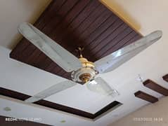 4 blade fan Indus brand. very less used