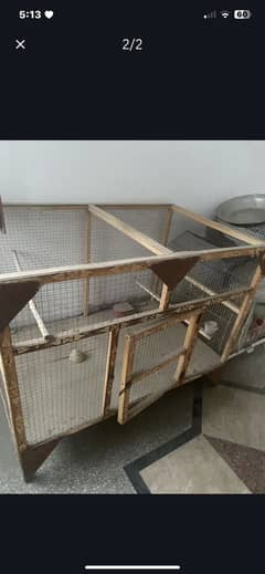Birds Hen Cage