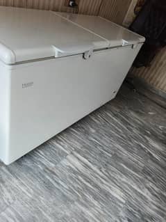 Haier