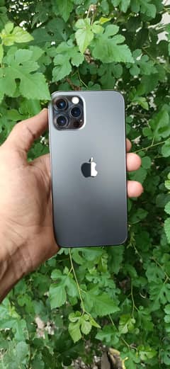 iPhone 12 Pro