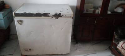 freezer