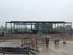Dairy Shed For Sale