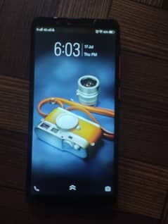 vivo