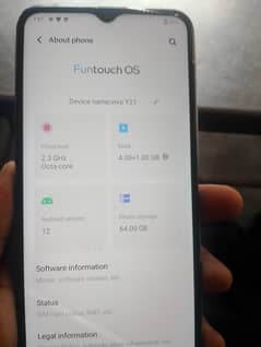 Vivo