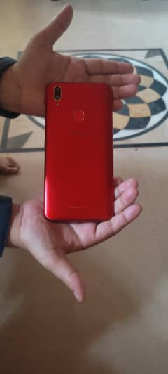 Vivo