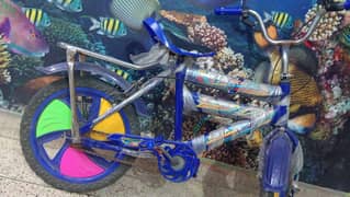 cycle for Kids 3 month Used