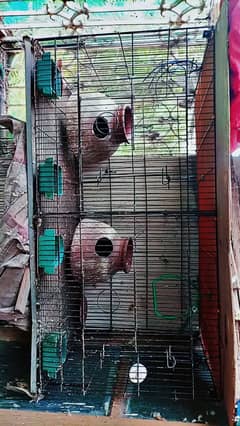 parrot cage