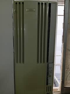 110 AC