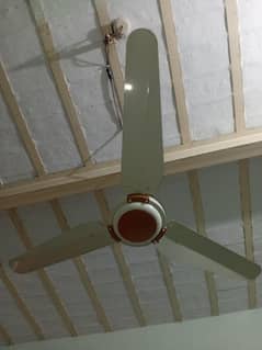 Ceiling fans