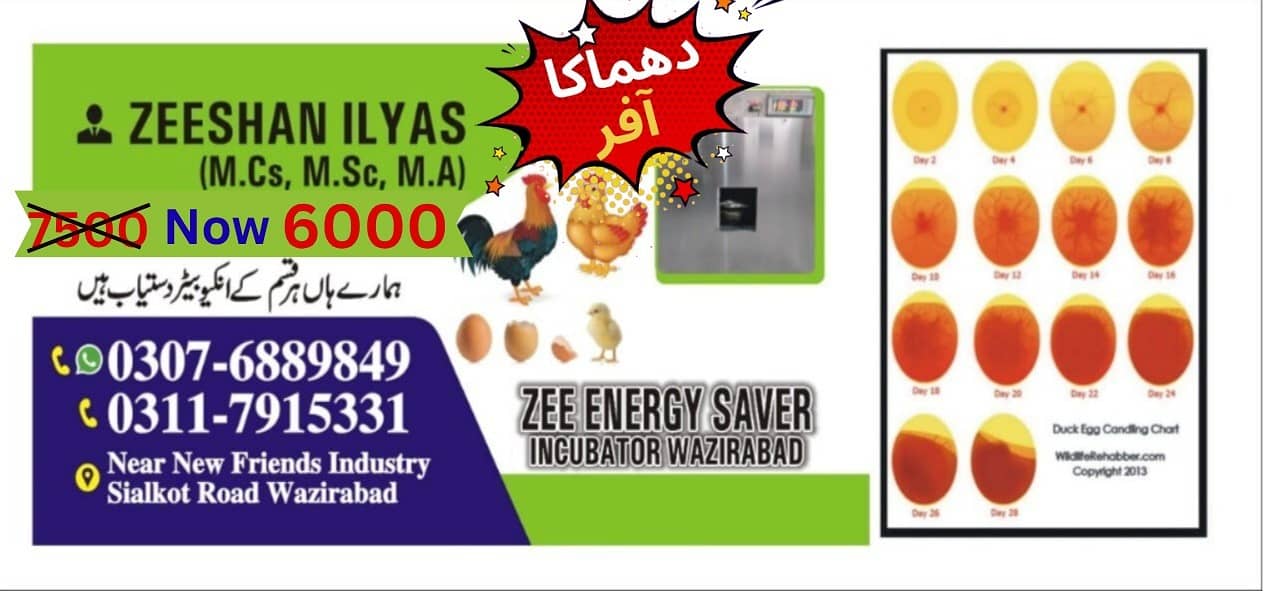 Energy saver incubator 10 watt | Egg hatching | egg machine| incubato 0