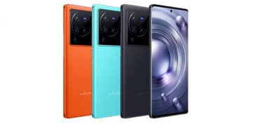 vivo