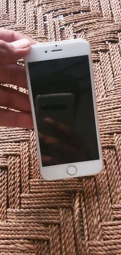 iPhone 6
