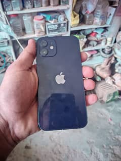 iPhone 12