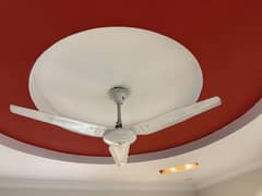 Wahid ceiling fan for sale