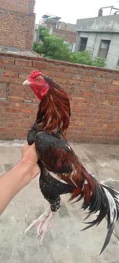 good