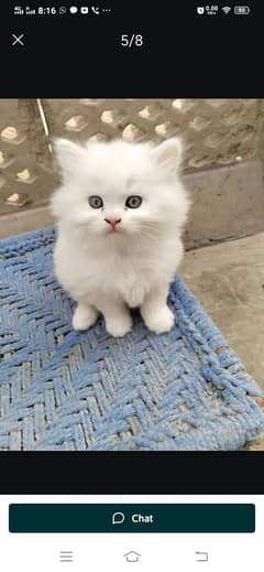 Persian