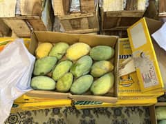 Export quality mangoes