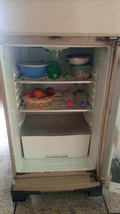 Waves Fridge Full Size 0309 5656661