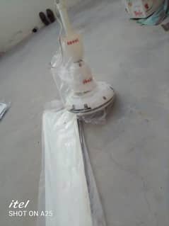 Royal Fan in Good condition