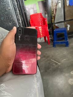 vivo