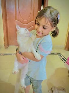friendly