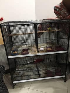 cage cocktail and exhibition for sale