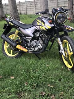 Ybr g for sale