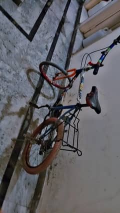 Phoenix cycle