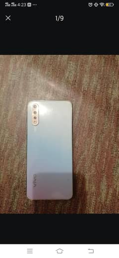 vivo